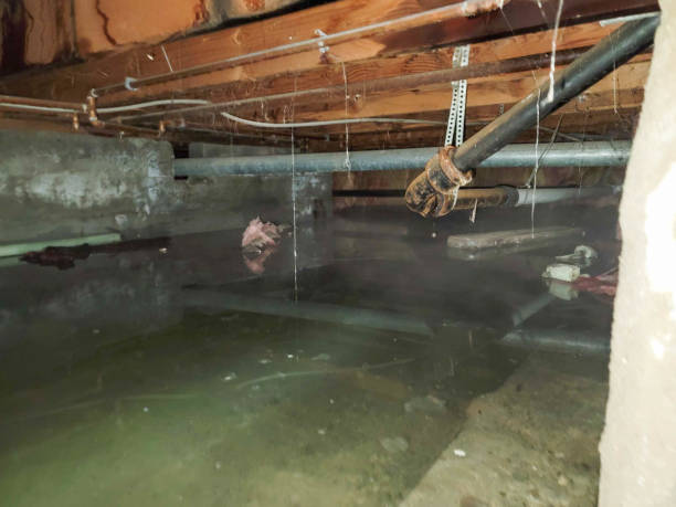 Best Ceiling water damage repair  in Moreland, ID