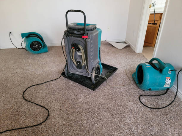 Best Professional water damage repair  in Moreland, ID