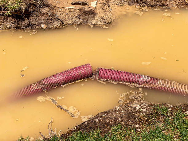 Best 24-hour water damage restoration  in Moreland, ID